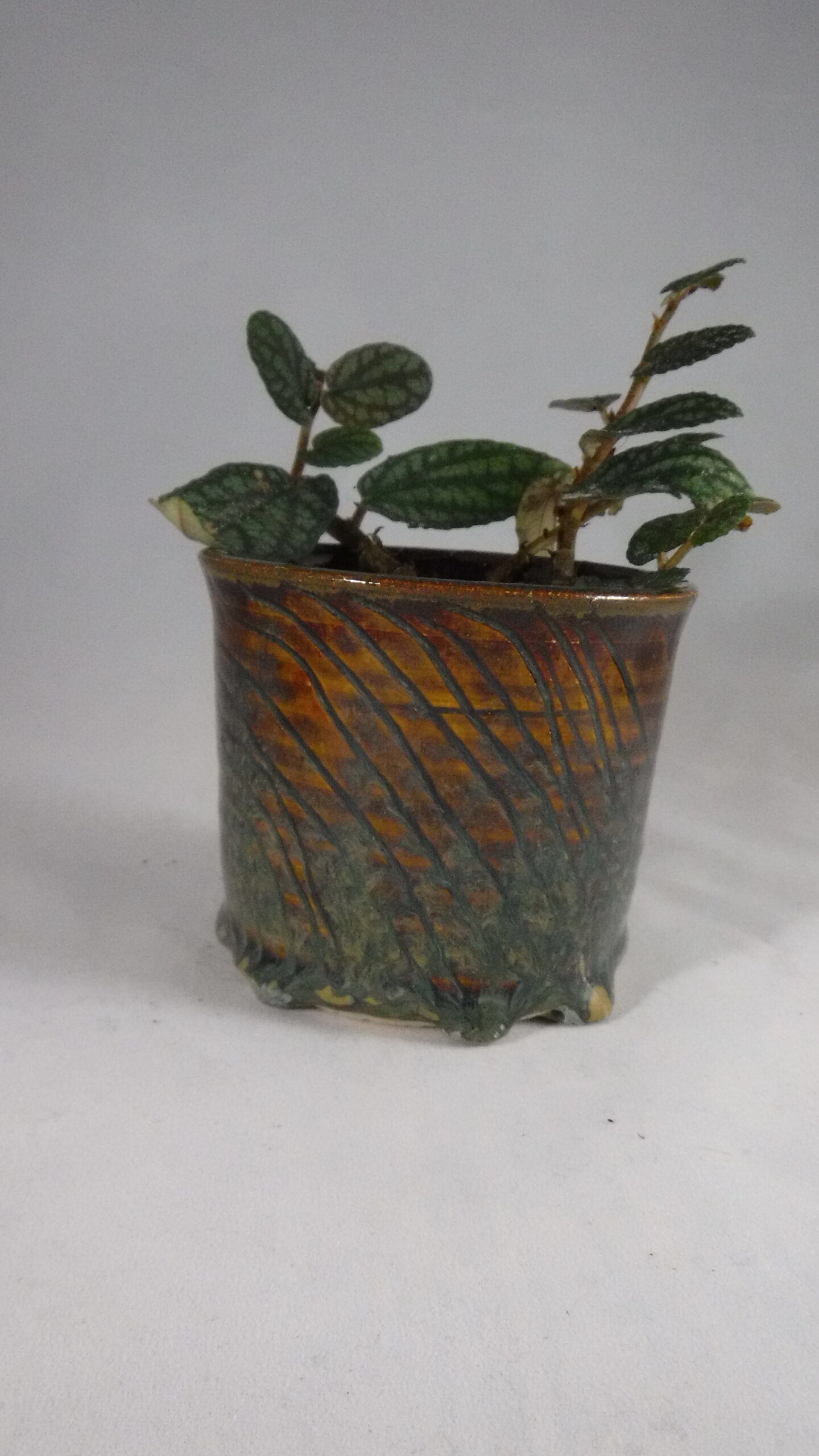 Small Planter - Image 9